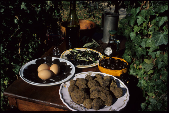 Le mois de juillet à la Maison de la Truffe et du Tricastin